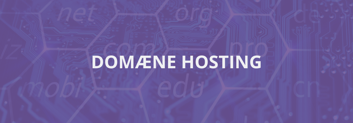 domæne hosting 2025