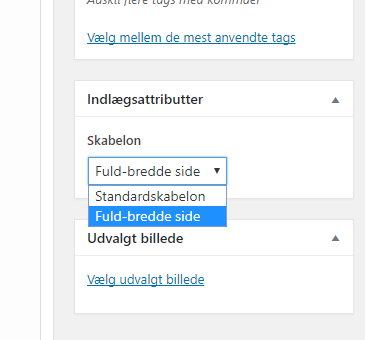 Sådan laver templates til indlæg i WordPress | Hosting Bloggen